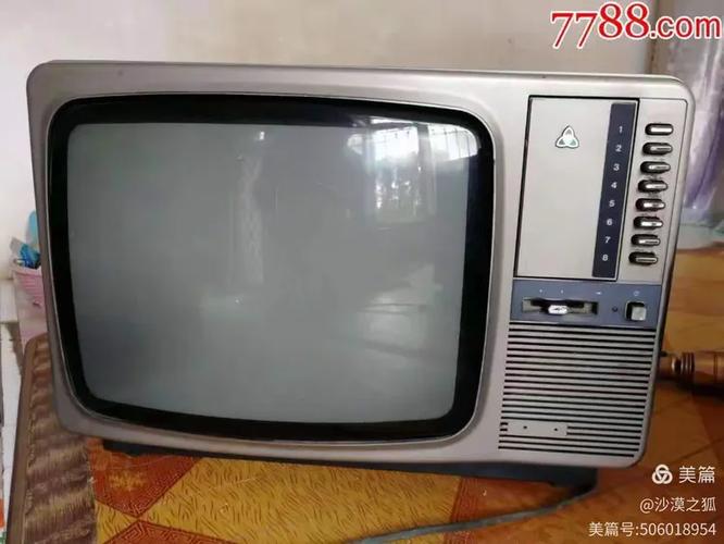 电视机里的时代回响